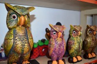 "búhos"
